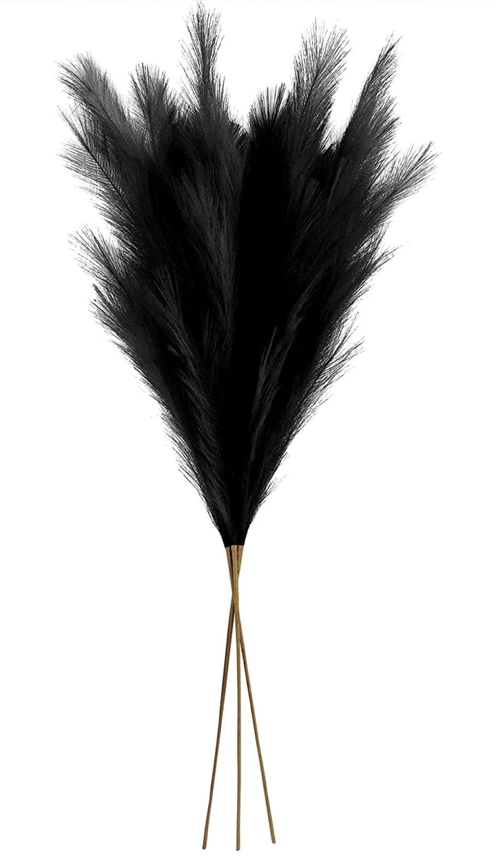 Pluma Negra